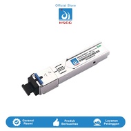 HSGQ GPON EPON OLT SFP Module