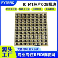 R F I D Chip C O B Module M 1 High Frequency 3.5 6h z Chinese Material Access Control Membership Sch