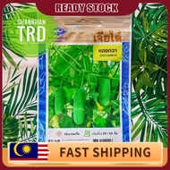 Paket 55 Biji (Seeds) BABY CUCUMBER Chia  Home Garden Biji Benih Timun Batang Baby Premium Thailand 