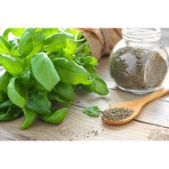[GENUINE] Italian Dried Basil Leaves 10gr