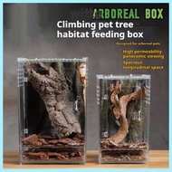 WITTE 1Pcs Reptile Feeding Box, High Transparent Acrylic Ecological Desert Landscaping Box,  Anti-Es