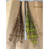Fake salic branches/ rubber salics/ young bud branches/ decorative leaf branches