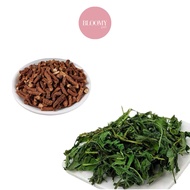 Bloomy Dandelion Root Dandelion Leaves