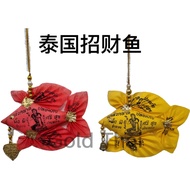 现货泰国招财鱼 Thailand product