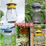 Oriental Fruit Fly Trap + 1 Pheromone Lure perangkap feromon LALAT BUAH (Pherotools Plants & Bugs)