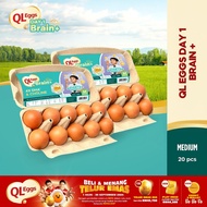 QL Eggs Day 1 Brain+  - Medium 20pcs Fresh Egg Farm Fresh Egg Telur Segar