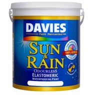 DAVIES SUN &amp; RAIN  PAINT