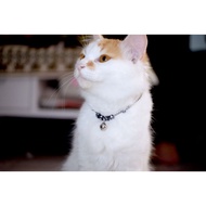 Custom Name Cat Necklace (REQUEST Your Cat's Name)