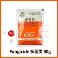 GG Fungicide 国光多菌灵 Racun Kulat GG