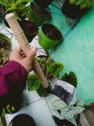 Cangkul Kecil Mini / KORET RUMPUT - kored dengan gagang