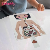 Lohobby Human Digestive System Model, Human Body Parts, Early Education, 3D Puzzle for