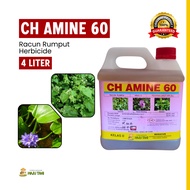 CH Amine 60 4 Liter Herbicide Racun Rumpai Racun Rumput Keladi Agas Racun Rumpai Padi Hapus Rumput A