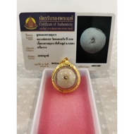 龙婆撒空 2530年 第一期的派古曼路翁 Lp Sakorn Loop Om First Batch