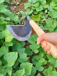 Koret Cungkir Rumput Besar Baja Per Asli Tajam Siap Pakai