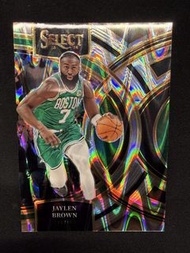 Panini Select Jaylen Brown tectonic