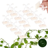 Vine Plant Supporter 3 Pieces Wall Binding Clip By Green Sprout T14