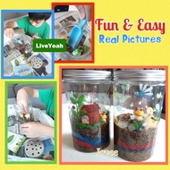 【SG Ready Stock】Terrarium Kit Magic Luminous Grass Early Educational DIY Toy Set Pot Planting For Kids