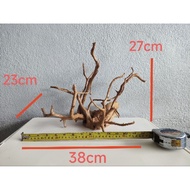 🔥🔥Aquarium decorate driftwood🔥🔥kayu untuk aquarium 🔥🔥s size