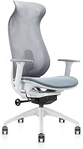 TIANFUSTAR Office Chair, High Back Desk Chair with Adjustable Lumbar Support,Ergonomic Computer Chair with Armrest for Home Office, Grey