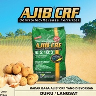 💥Baja Pokok Duku Langsat💥 25kg