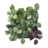 IKEA FEJKA Artificial Plant, wall mounted, in/outdoor green/lilac