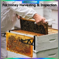 POP 6Pcs Bees Hives Frame Holder Frame Perch Beekeeping Bracket Rack for Beekeepers Bees Hives Stand