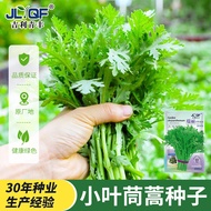 [Local Growing] Artemisia Seeds Artemisia Seeds Artemisia Seeds Artemisia Winter Vegetables Spring F