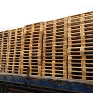 歐規epal 棧板 120x80cm