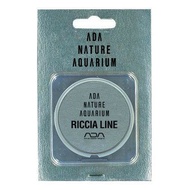 ADA Riccia Line for Aquarium - Stone &amp; Driftwood