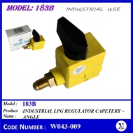W043-009 183B GOLDEN FUJI INDUSTRIAL LPG GAS REGULATOR CAPETERY - ANGLE