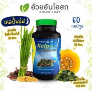 👍แท้💯% Herbal One Kelp Plus เฮอร์บัล วัน เคลป์พลัส สาหร่ายเคลป์ อ้วยอันโอสถ 60 แคปซูล