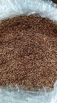 เมล็ดพันธุ์ผักชีไทย บรรจุ 1กก  ราคา 109    บาท เมล็ดผักชี  ผักชี สำหรับปลูก  หรือ ทานได้