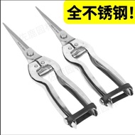[Delivered from Taiwan] Gardening Shears Flowers Grass Fruit Tree Pointed Shears Fruits Vegetables F