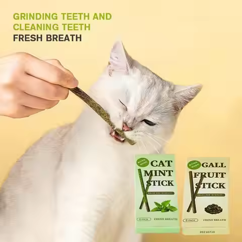 6 Sticks/box Cat Mint Stick Gall Fruit Molar Stick For Cat Teeth Cleaning Treating Pet Supply Cat To