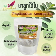 ชาลูกใต้ใบ ลูกใต้ใบ ใต้ใบ (Organic Phyllanthus Amarus Tea) ผลิตโดย : วิสหกิจชมุนชนบ้านปางสัก