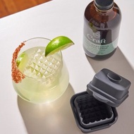 美國 W&P 3D雕刻製冰盒 | 四入