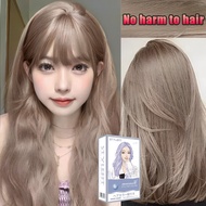 Hair dye Fashion color Color hair Hair beauty Milk tea ash Gray Blonde Not harmful to hair