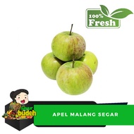 buah apel malang segar 1kg