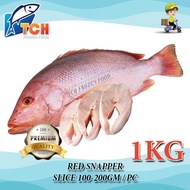 IKAN MERAH, RED SNAPPER , TCH FROZEN FOOD, FRESH FROZEN SEAFOOD, WHOLESALE SUPPLIER, SALMON, FILLET