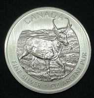 2019加拿大銀幣 － 野生動物系列：羚羊 純銀銀幣.9999 1盎司.