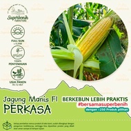 15 biji bibit benih Jagung Manis F1 perkasa