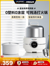 Blaupunkt Stainless Steel Electric Steamer Multi-Function Home Use Steam Cooking Boiler Small Electr