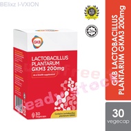 BElixz I VXION  Lactobacillus Plantarum Gkm3 30S