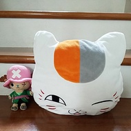 Go Shop Pillow Products Are Already In Your Live 24/9 Allian