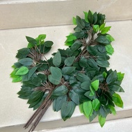 Lot of 12 branches of green sapphire leaves with many branches for decoration