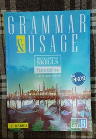 grammar & usage developing skills set B