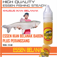 Essen Belanak Special / Essen Belanak Paling Bagus / Essen Belanak Jitu / Essen Untuk Ikan Belanak /