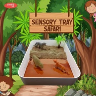 Sensory Tray Sensory Play