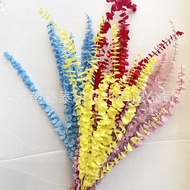 Preserved Flowers Eucalyptus Leaves Copper Coin Leaves Eucalyptus Leaves Preserved Dried Flowers Bou
