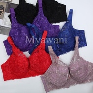#34B~#46C Cup B/C Full Cull BRA Wired [MAYA] Cotton Thin Span / Coli Wanita berdawai Span Nipis Saiz